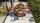 LIFE - Tondo Essisch lava 170x105 robust Teak